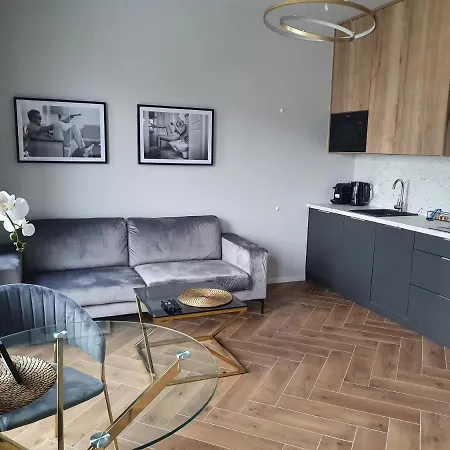 Sokolska 30 Towers Apartments -Parking- New- Lux- Sauna- Gym- And Good View * Katowice