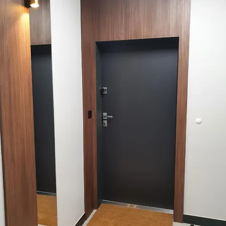 Sokolska 30 Towers Apartments -Parking- New- Lux- Sauna- Gym- And Good View * Katovice