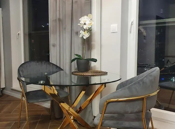 شقة Sokolska 30 Towers -parking- New- Lux- Sauna- Gym- And Good View كاتوفيتسه