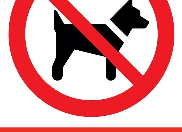 Sokolska 30 Towers -parking- New- Lux- Sauna- Gym- And Good View شقة *